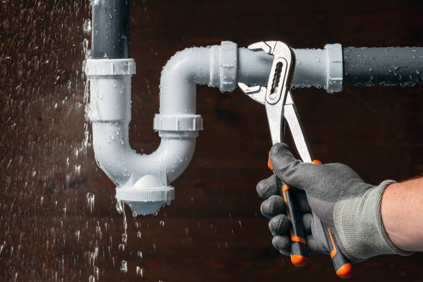 Professional Leak Detection technician working in Elsie, MI